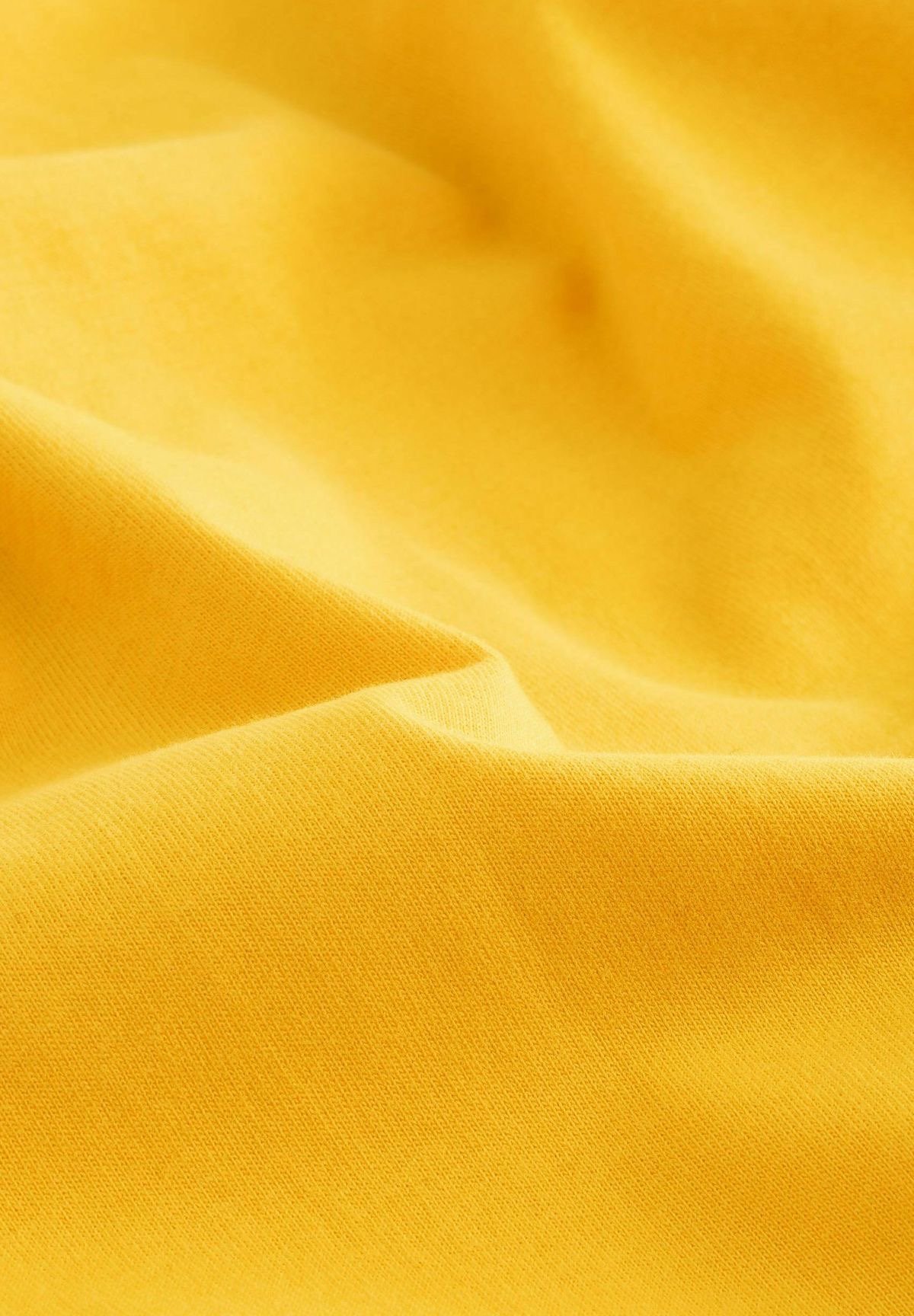 Tartrazine NS 200% fabric shade